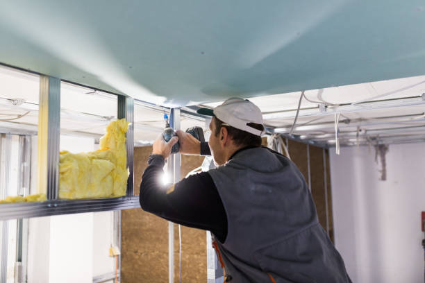 Best Insulation Installation Services in Dublin, PA